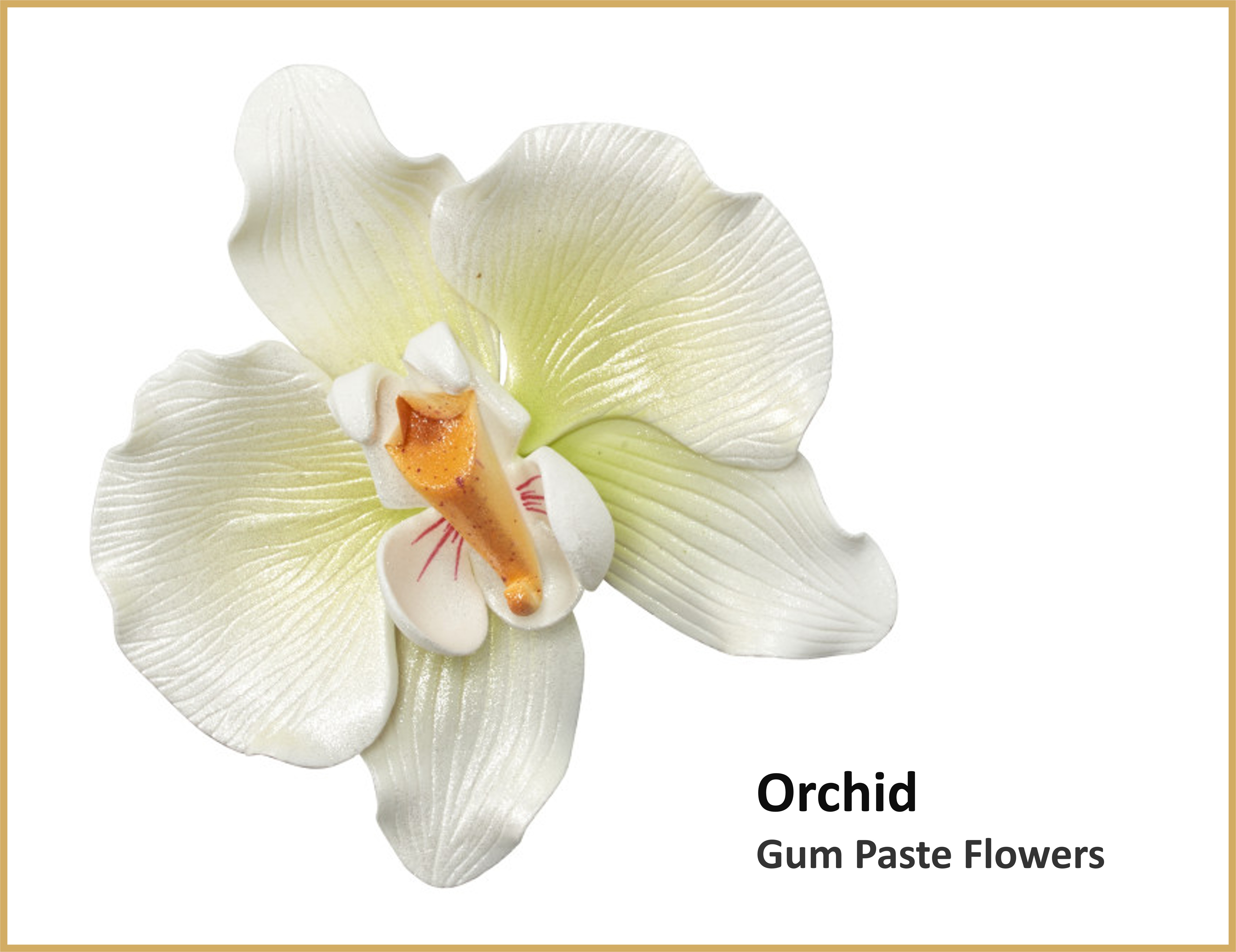 Gumpaste Orchid