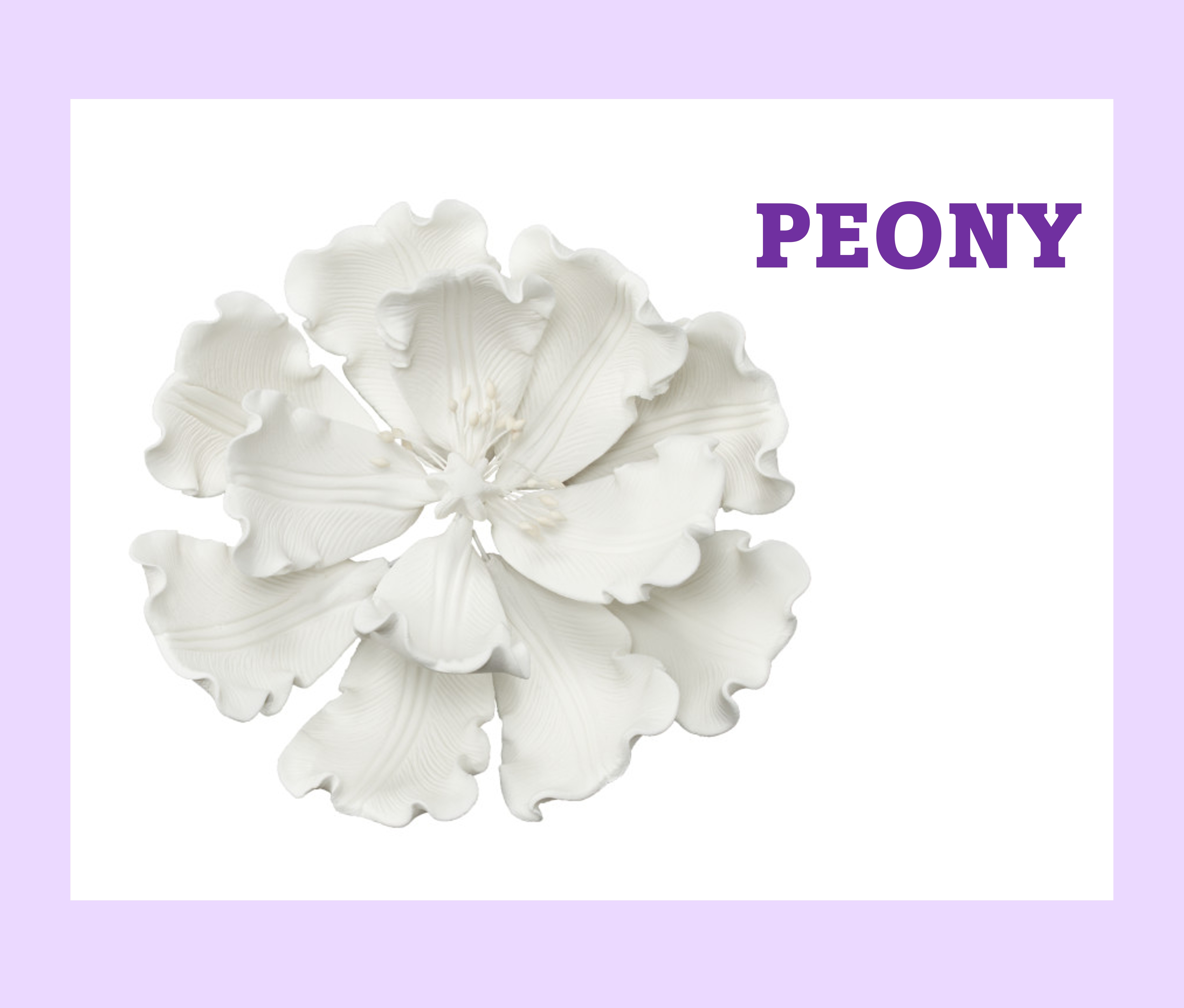 Gumpaste Peony